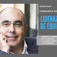 LIDERAZGO DE EQUIPOS  – Fernando Botella